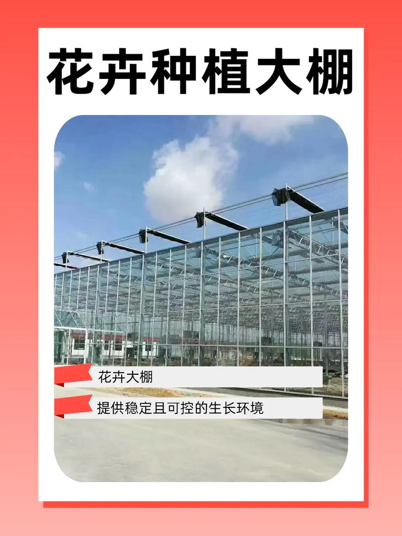 全自动化智能温室 重塑花卉种植的未来之美